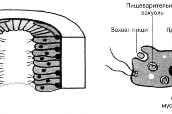 Кракен kr2web in что это